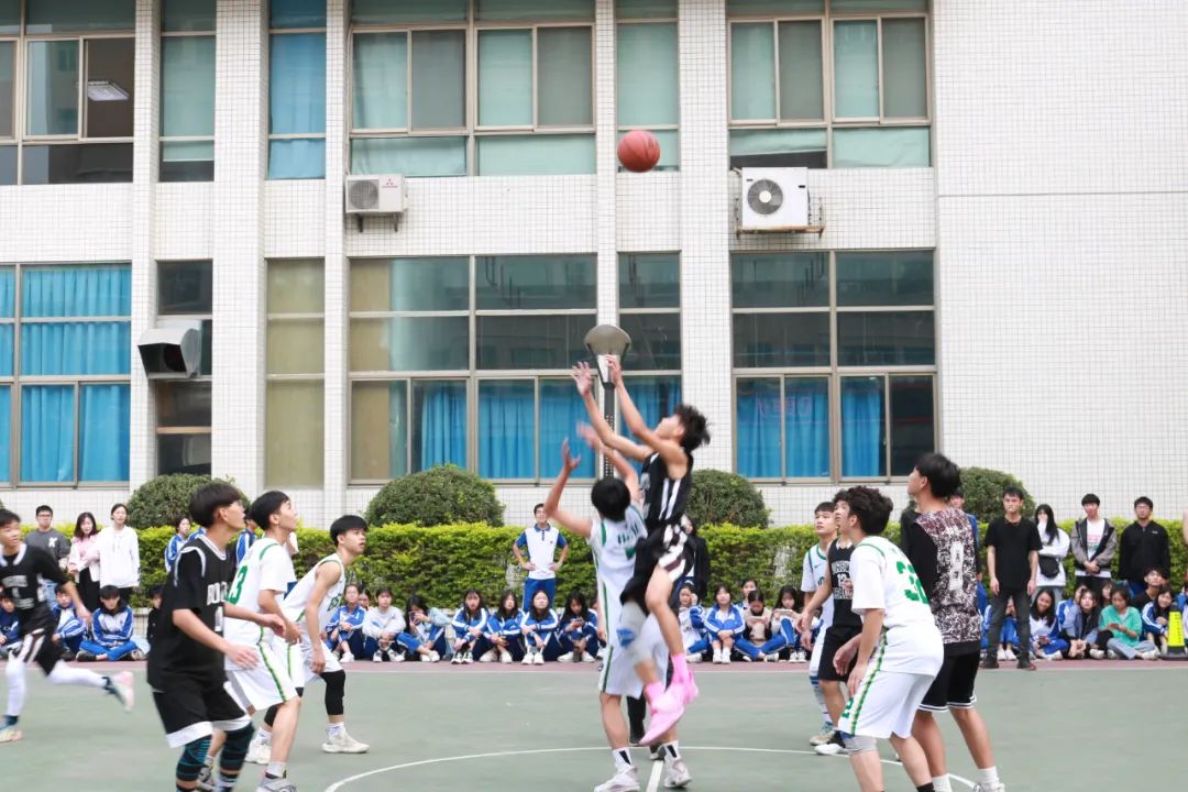 84.jpeg 图片